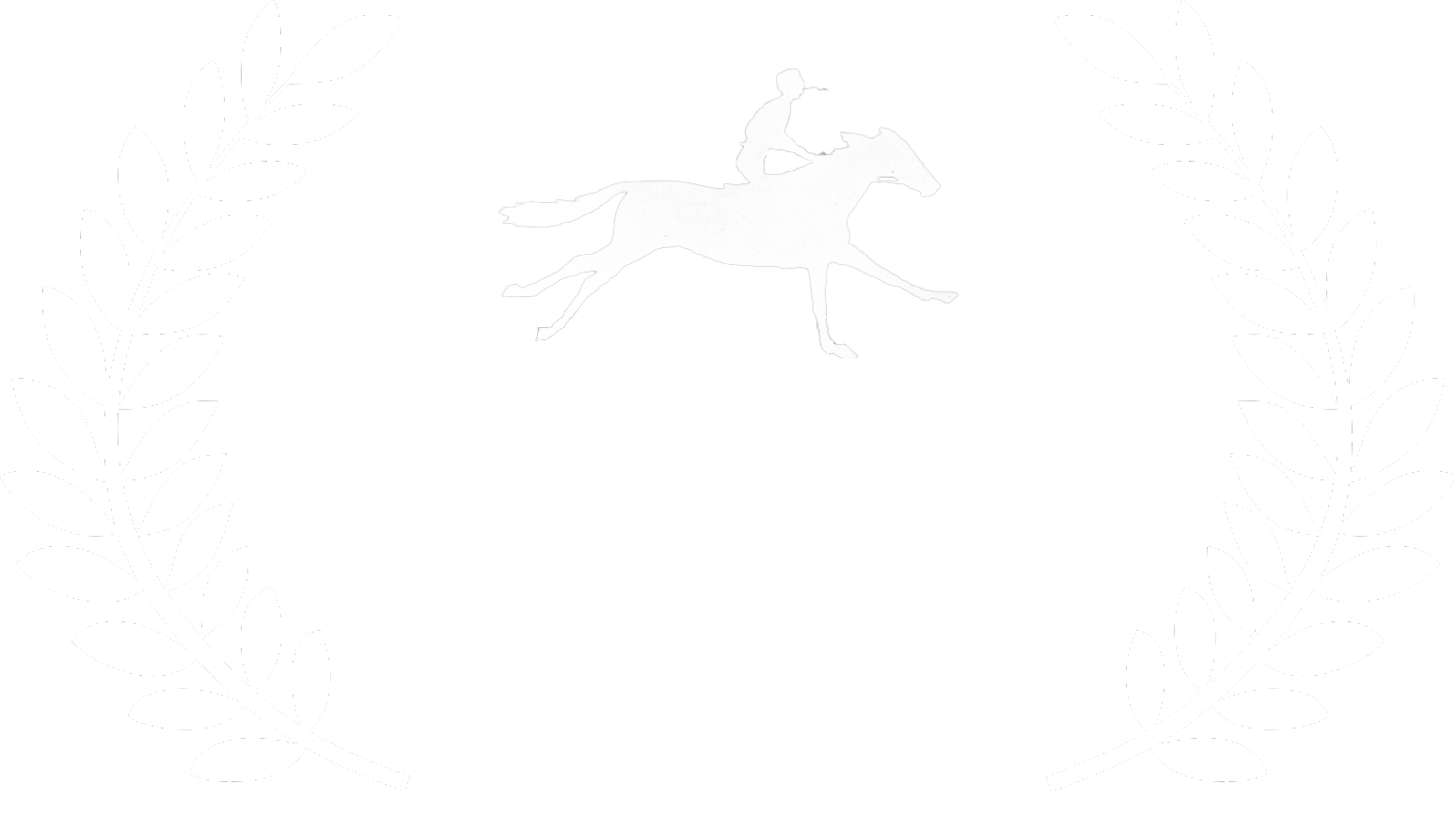 All That Moves Intl FF — Honorable Mention 2020