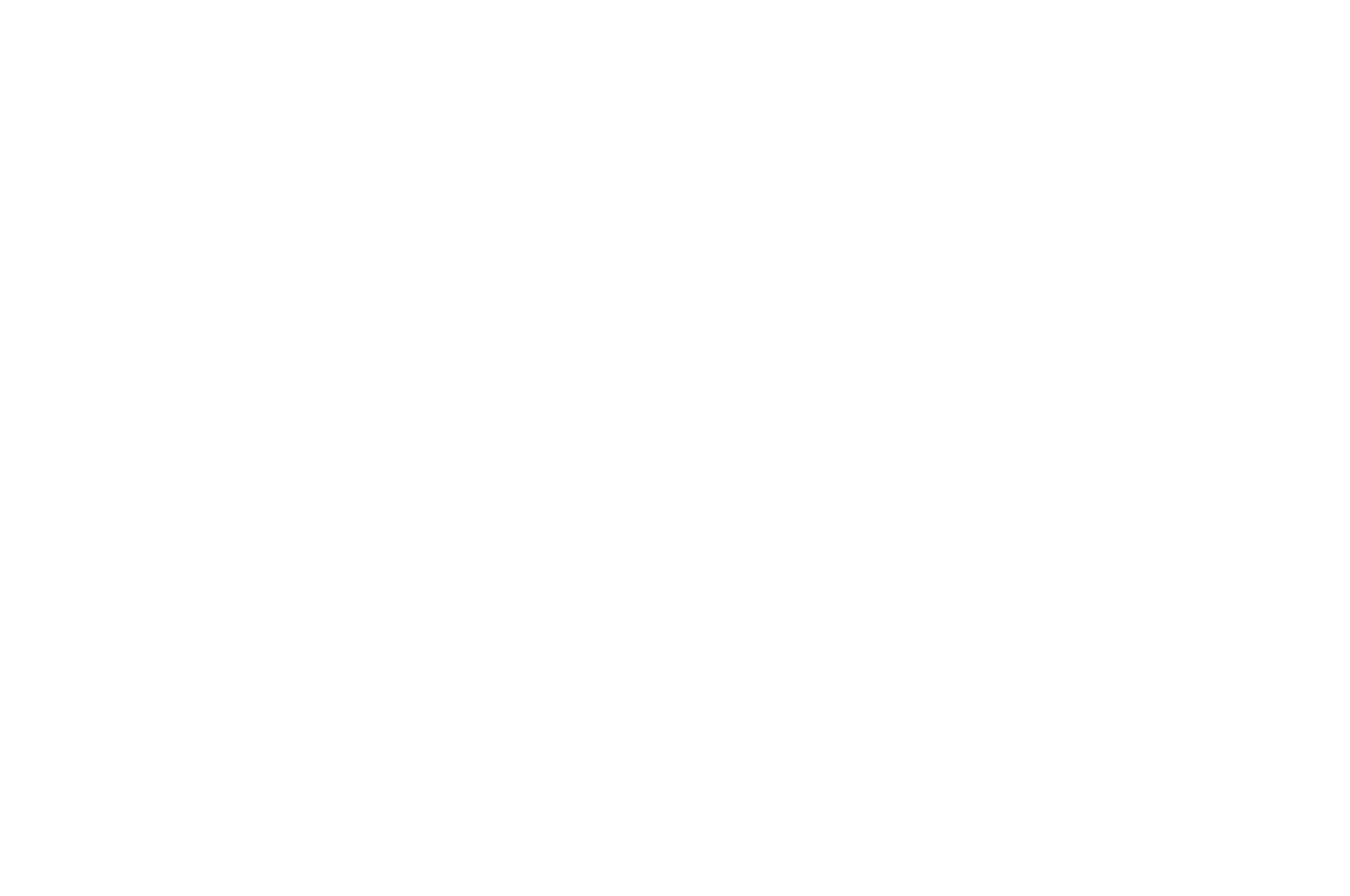 Seoul International AI FF — Finalist 2025